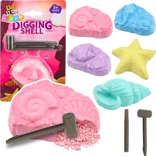 Archeologieset zee-fossielen – opgraafset met schelpen en tools