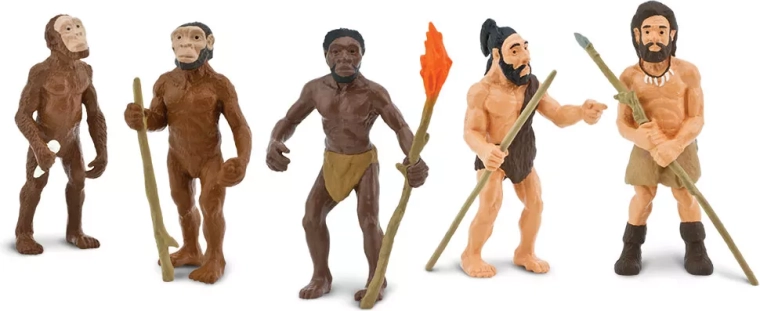 Safari Ltd. evolutie van de mens – set van 5 handbeschilderde figuren