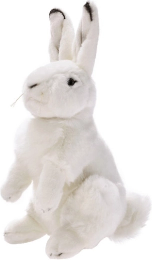 Zittend wit konijn knuffel 25 cm