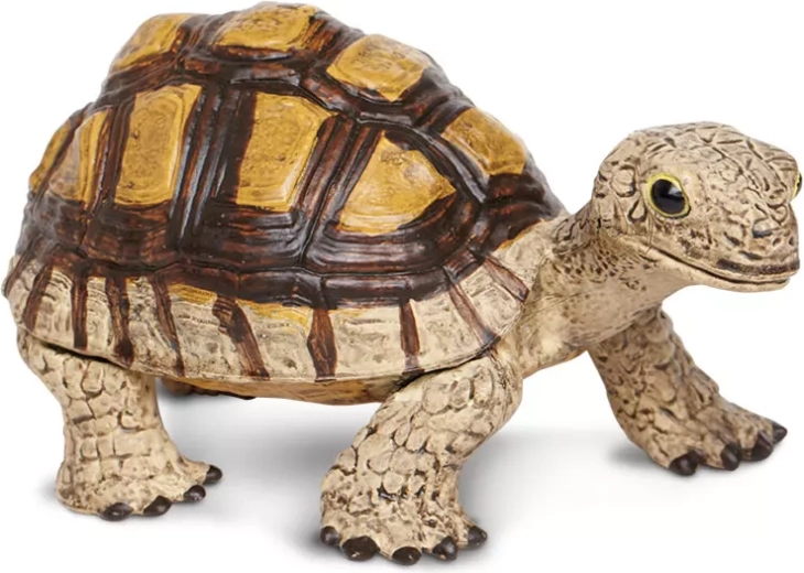 Jonge schildpad Safari Ltd.