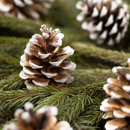 Kerstdecoratie met besneeuwde dennenappels in organzazakje, 10 stuks