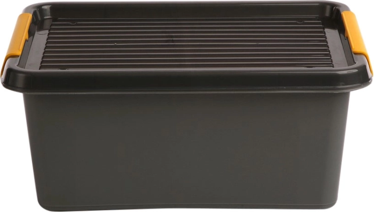 Solidstore opbergbox met deksel 12,5 l (39 × 29 × 16,5 cm)