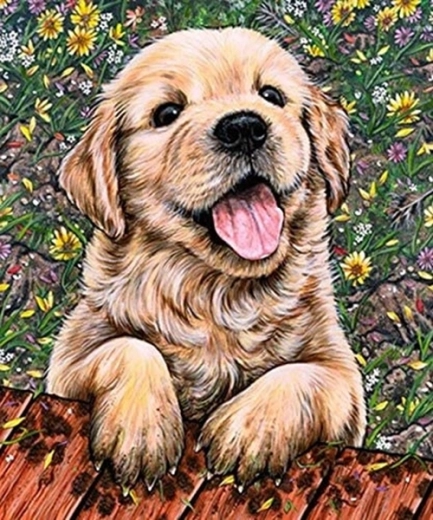 Diamond painting labrador puppy 30 × 40 cm