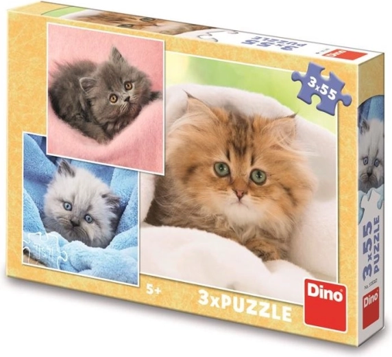 Kinderpuzzel schattige kittens 3×55 stukjes