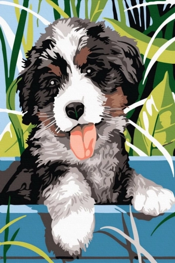 Norimpex Schilderen op nummer lachende hond 40 × 50 cm
