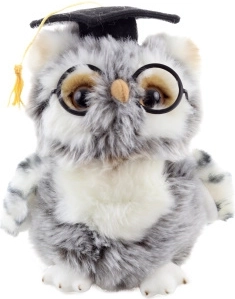 Pluche uil Afgestudeerd