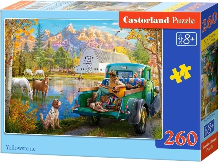 Castorland puzzel Yellowstone 260 stukjes