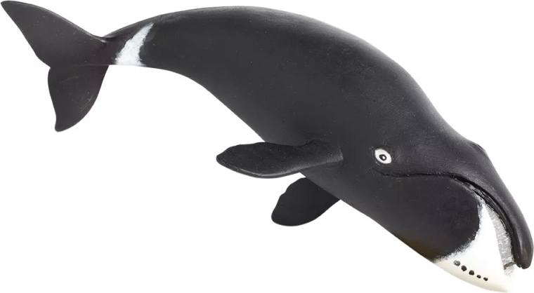 Safari Ltd. figuur van de Groenlandse walvis