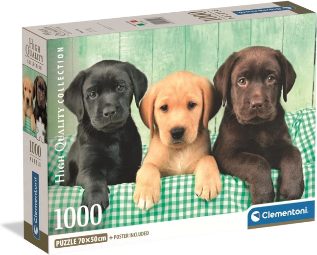 Puzzel 1000 Clementoni – drie labradors HQC