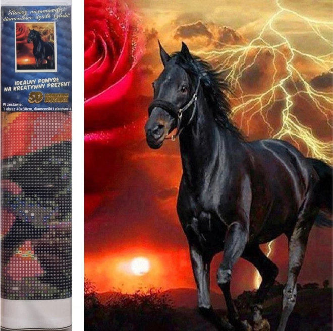 Diamond painting set - zwarte hengst