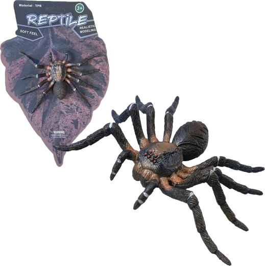 Levende natuur: Wolf Spider – realistisch spinnenmodel (12 cm)