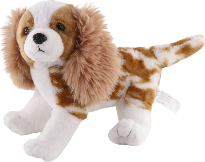 Pluchen hond Cavalier King Charles Spaniël 26 cm