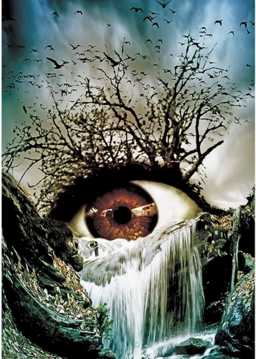 Diamant schilderen Oog