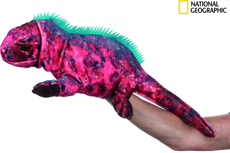 National Geographic handpop leguaan 23 cm