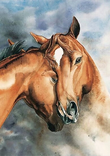Norimpex schilderen op nummer Paarden 40 × 50 cm