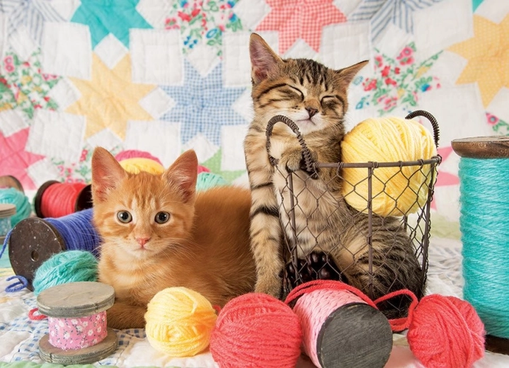 Puzzel Zachte Bolletjes 1000 Stukjes