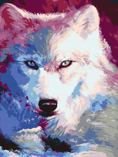 Schilderen op nummer Schaduwen van de witte wolf 40 × 50 cm