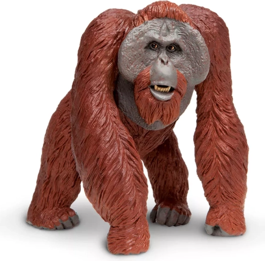 Figuur van een Borneose orang-oetan Safari Ltd.