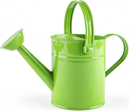 Metalen groene gieter WOODY voor kinderen
