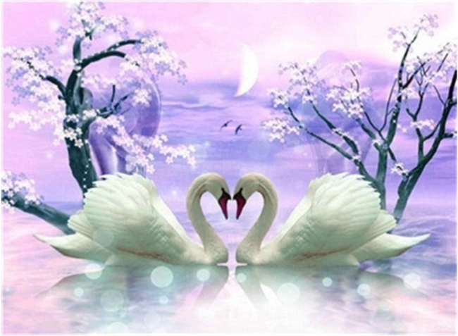 Diamant schilderen zwanenliefde 30 × 40 cm
