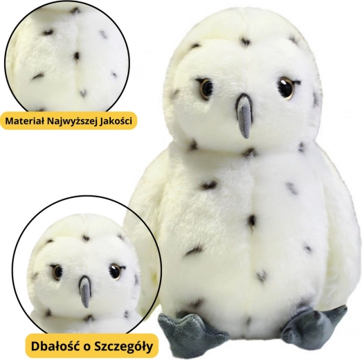 Witte pluche uil 23 cm