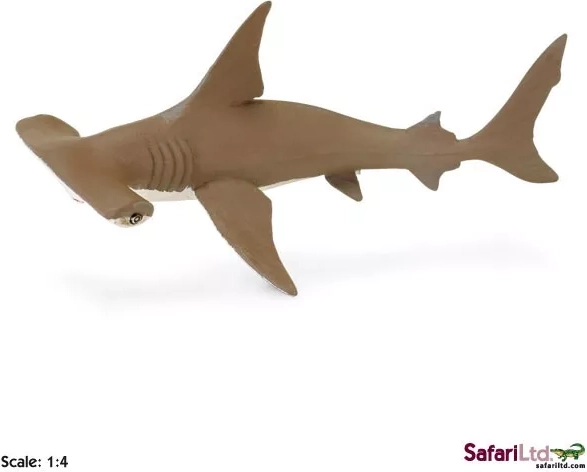 Safari Ltd. jong van een bronzen hamerhaai