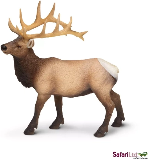 Safari Ltd. Westelijke wapiti-figuur