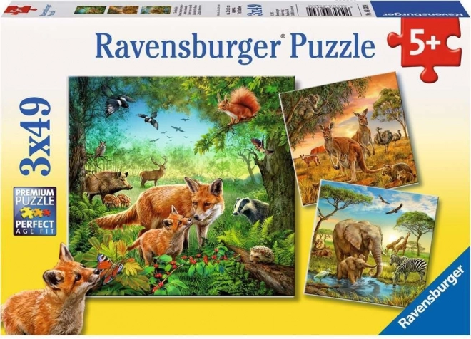 Ravensburger puzzel Dieren 3×49 stukjes