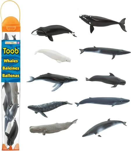 Safari Ltd. Toobs koker Walvissen (10 figuren)