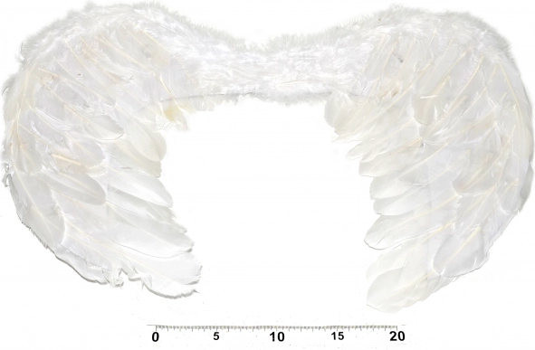 Engelenvleugels voor kostuum