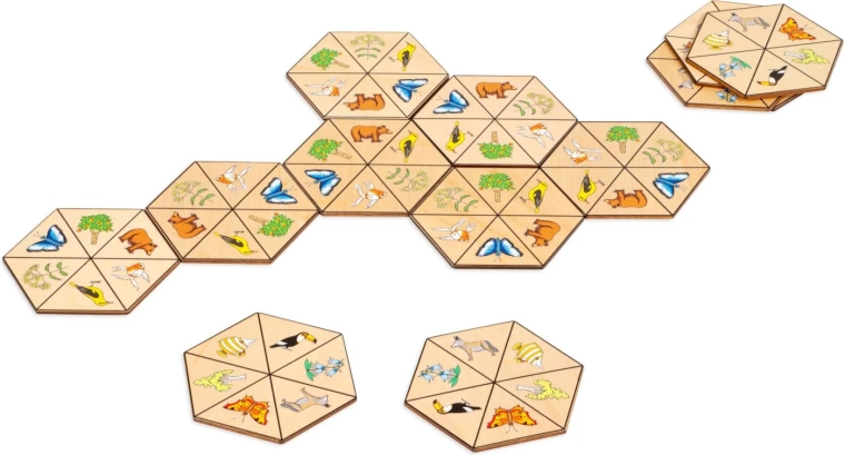 Toys for Life zeshoekige domino natuur