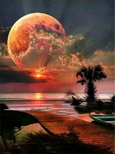 Norimpex schilderen op nummer Maan boven de kust 40 × 50 cm