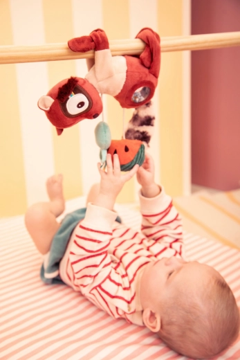 Lilliputiens hangspeeltje lemur Elvis
