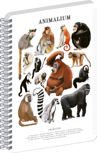 Notique spiraalblok Animalium – primaten, geruit A5