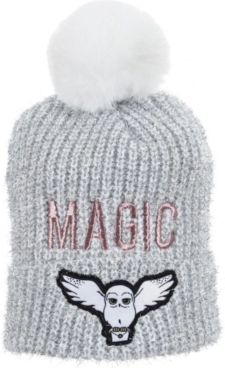 Zilveren Harry Potter-muts