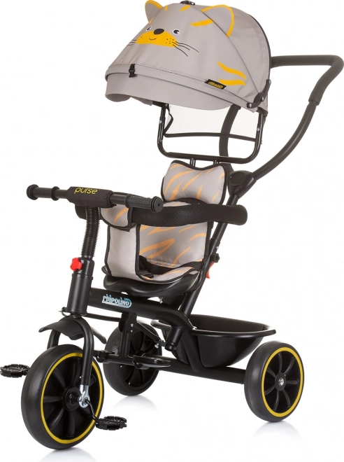 Driewieler met afneembare luifel voor kinderen 2-in-1 Pulse Chipolino