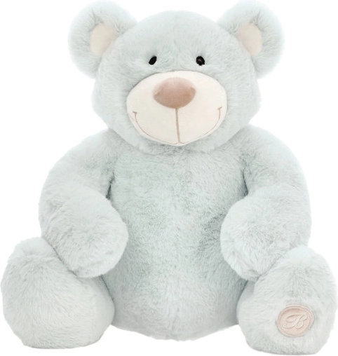 Pluchen teddybeer Jacobe 35 cm – mint
