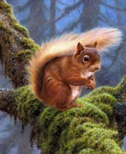 Diamant schilderen – eekhoorn op een tak 30 × 40 cm