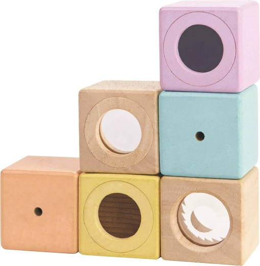 Zintuiglijke blokjes PlanToys (6 stuks)