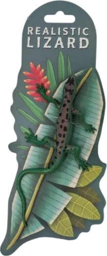 Dieren kameleon die van kleur verandert