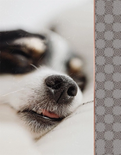 Fotoalbum CONCORDE voor 64 foto's 10 × 15 cm