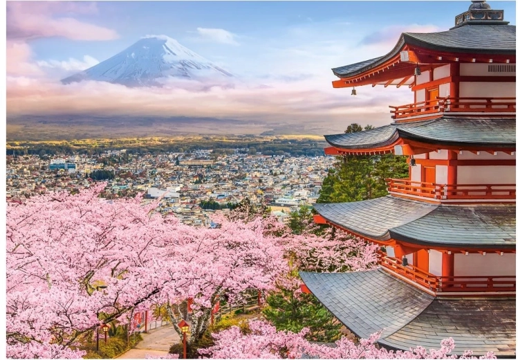 Castorland puzzel Lente in Japan 500 stukjes