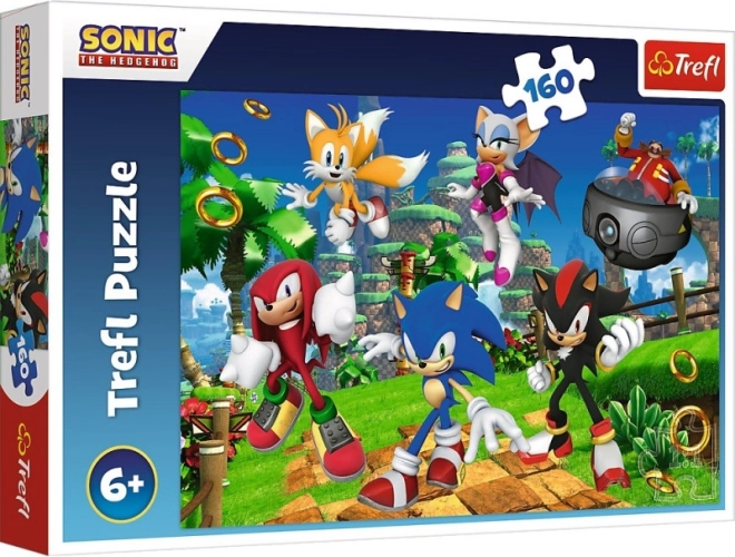 Puzzel Sonic en vrienden 160 stukjes