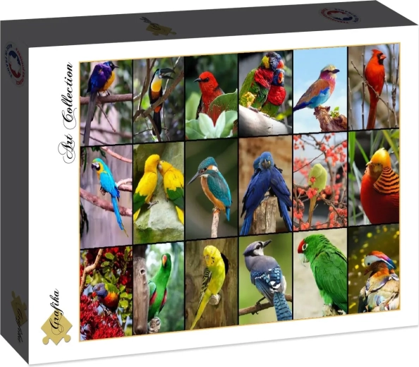 Grafika-puzzel De mooiste vogels ter wereld, 1500 stukjes