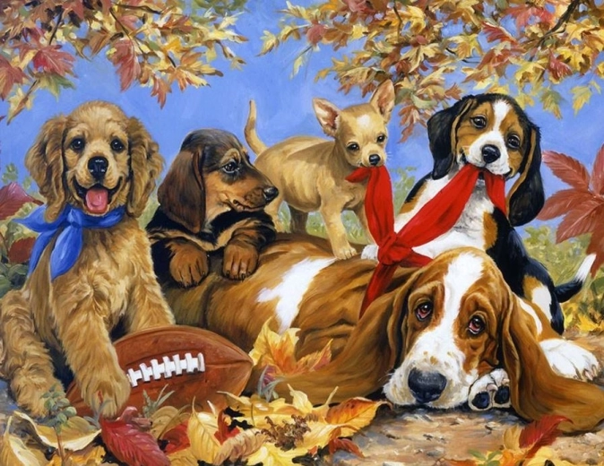 Diamond painting Honden spelen met een bal 80 × 40 cm