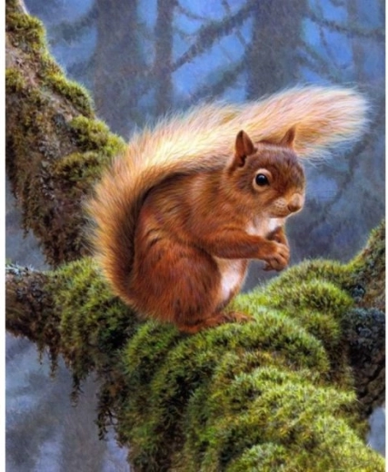 Diamantborduren (diamond painting) eekhoorn 30 × 40 cm - 1 stuk
