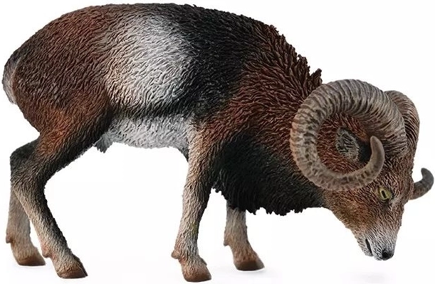 Europese Moeflon