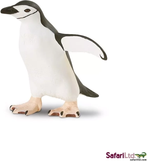 Kinbandpinguïn