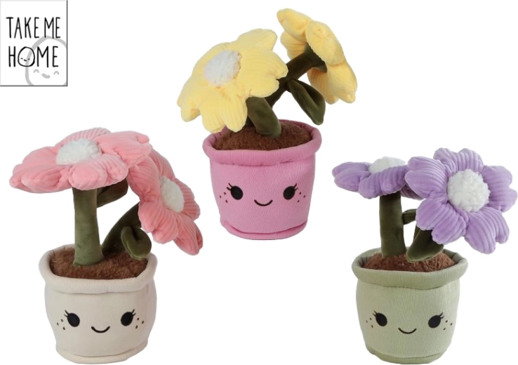 Pluchen kamerplant Take Me Home 22 cm