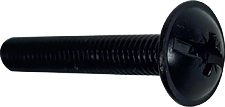 Schroeven met lenskop M4 × 30, zwart (15 stuks)